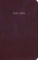 CEB Common English Bible Gift & Award Burgundy Red Letter Edition