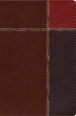 The Message Bible Large Print, Bible, Brown, Imitation Leather, One-Column Layout, Maps, Charts, Timelines, Ribbon Marker