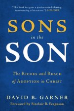 Sons in the Son