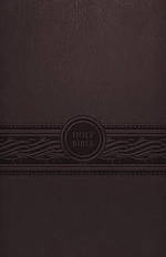 MEV Personal Size Large Print Bible