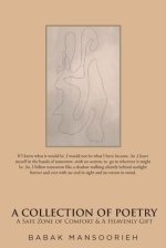 A Collection of Poetry: A Safe Zone of Comfort and A Heavenly Gift