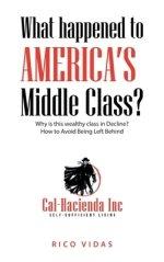 What happened to America's Middle Class?: Why is this wealthy class in Decline? How to Avoid Being Left Behind