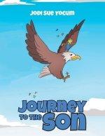 Journey to the Son