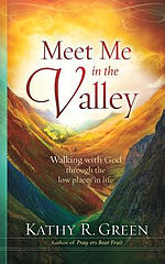 Meet Me in the Valley: Walking With God Through the Low Places in Life