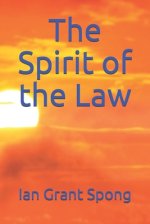 The Spirit of the Law