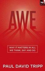 Awe