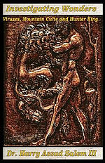 Investigating Wonders