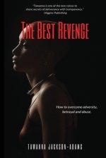 The Best Revenge: How to Overcome Betrayal, Adversity and Abuse