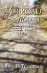 Our Road to Emmaus: Walking with Jesus through Difficult Times