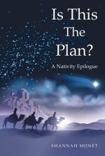 Is This the Plan?: A Nativity Epilogue