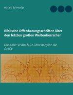 Biblische Offenbarungsschriften Uber Den Letzten Grossen Weltenherrscher