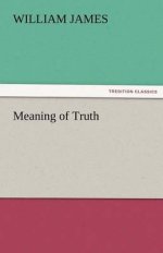 Meaning of Truth