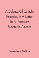 Defence Of Catholic Principles, In A Letter To A Protestant Minister In America