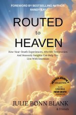 Routed to Heaven : How Near-Death Experiences, Afterlife Testimonies And Heavenly Insights Can Help You Live With Intention