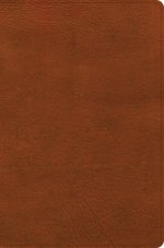 CSB Giant Print Reference Bible, Digital Study Edition, Burnt Sienna LeatherTouch, Indexed