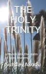 The Holy Trinity: a launch into the realm of open heavens