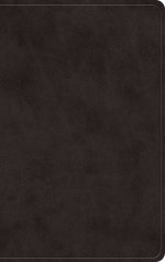 ESV Giant Print Value Personal Size Bible (TruTone, Black)