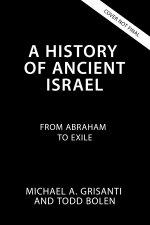 A History of Ancient Israel