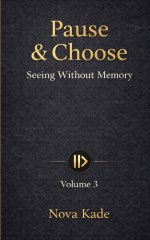 Pause & Choose: Seeing Without Memory