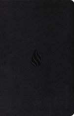 ESV Premium Gift Bible, Red Letter (TruTone, Midnight, Flame Design)