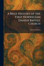A Brief History of the First Norwegian Danish Baptist Church