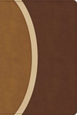 CSB Rainbow Study Bible, Brown Leathertouch