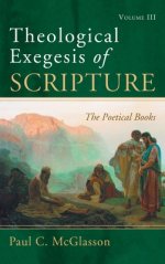 Theological Exegesis of Scripture: Volume III