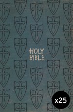 25 x International Children's Bible (ICB) Gift and Award Boys Bible