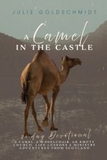 A Camel in the Castle