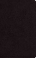 ESV Giant Print Personal Size Bible, Red Letter (Genuine Leather, Black)