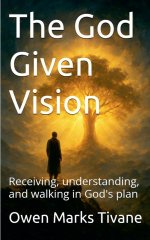 The God Given Vision: Receiving, Understanding, and Walking In God's Plan