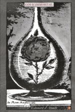 LOVE IMMORTAL: The Poetry of Love