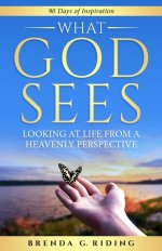 What God Sees: Looking at Life from a Heavenly Perspective
