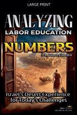 Analyzing the Labor Education in Numbers: Israel's Desert Experience  for Today's Challenges