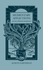 Momentary Afflictions: Poems of lament and praise