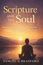 Scripture and the Soul: A Beginner's Guide to Biblical Meditation, Prayer and Finding Rest in a Busy World