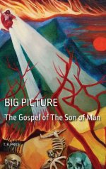 BIG PICTURE: The Gospel of The Son of Man
