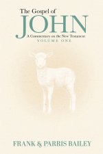 The Gospel of John A Commentary on the New Testament Volume 1