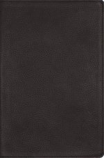NRSVue, Single-Column Reference Bible, Genuine Calfskin Leather, Black, Art Gilded Edges, Comfort Print
