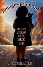 Amazing Amanda and the Mystery of the Black Cat