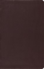 ESV Large Print Thin Reference Bible