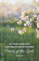 General Worship Bulletin: Let Every Thing (Package of 100)