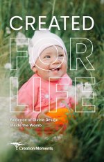 Created for Life: Evidence of Divine Design Inside the Womb