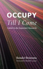 Occupy Till I Come