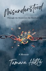 Misunderstood - Through the Storm into the Rainbow
