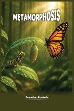 METAMORPHOSIS