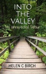 Into The Valley: My Unexpected Detour