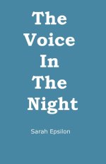 The Voice In The Night: A Memoir of Faith, Struggle and Obedience
