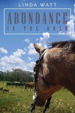 Abundance in the Bush: 52 Country Devotions