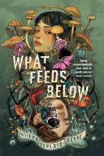 What Feeds Below
